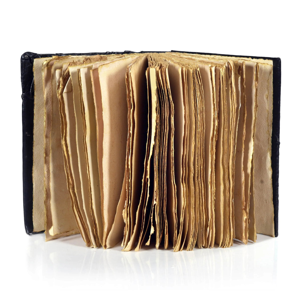 Haunted Skull Leather Journal