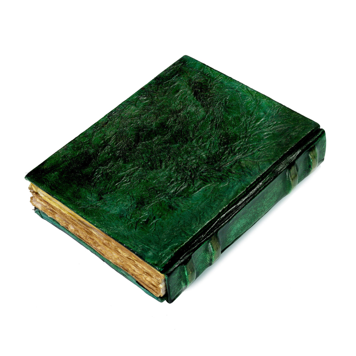 EVIL DRAGON JOURNAL - GREEN